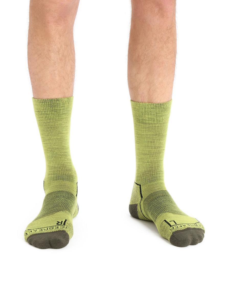 Men's Icebreaker Merino Hike+ Light Crew Socks Shine / Loden | CA 1907YXFU